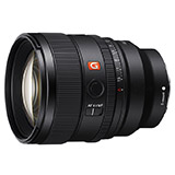 SEL85F14GM2