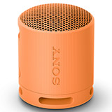 SRS-XB100